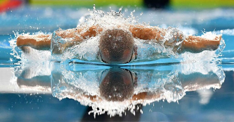 Butterfly stroke for beginners: swimmer with his head in the water